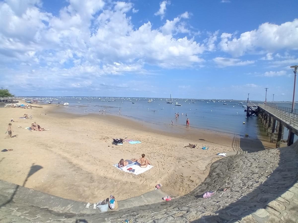 Cap Ferret : la vie reprend doucement après les incendies en Gironde
