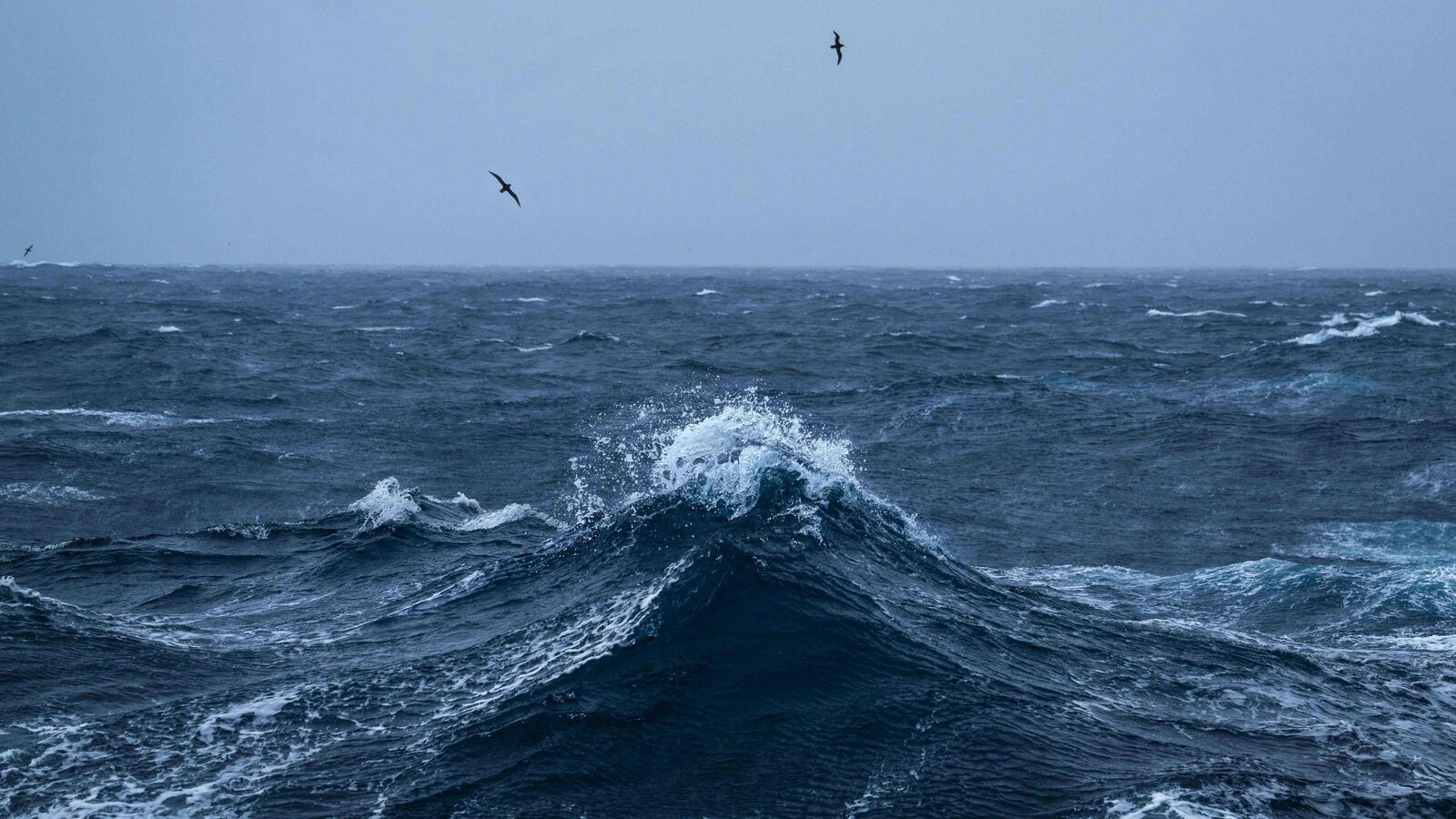 Alaska : un adolescent de 15 ans survit trois jours dans les eaux glaciales après le chavirage de son bateau